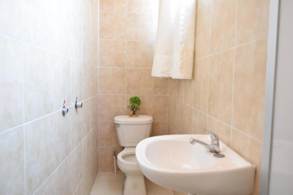 מקסיקו סיטי Alto Hostel מראה חיצוני תמונה