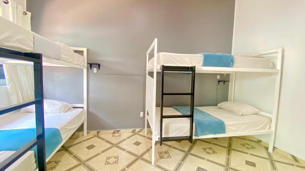 מקסיקו סיטי Alto Hostel מראה חיצוני תמונה