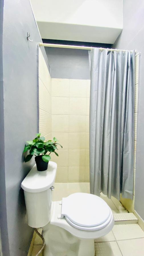 מקסיקו סיטי Alto Hostel מראה חיצוני תמונה