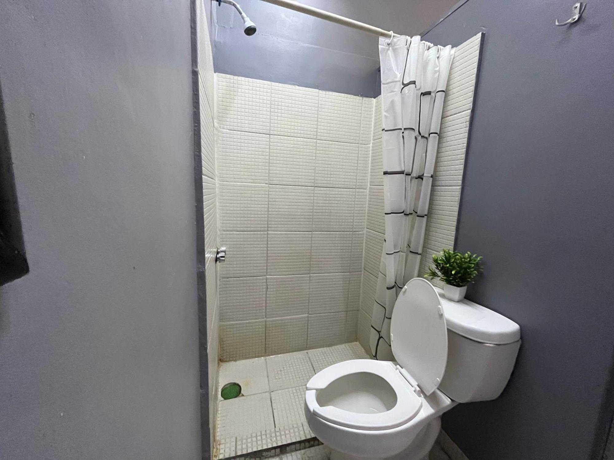 מקסיקו סיטי Alto Hostel מראה חיצוני תמונה