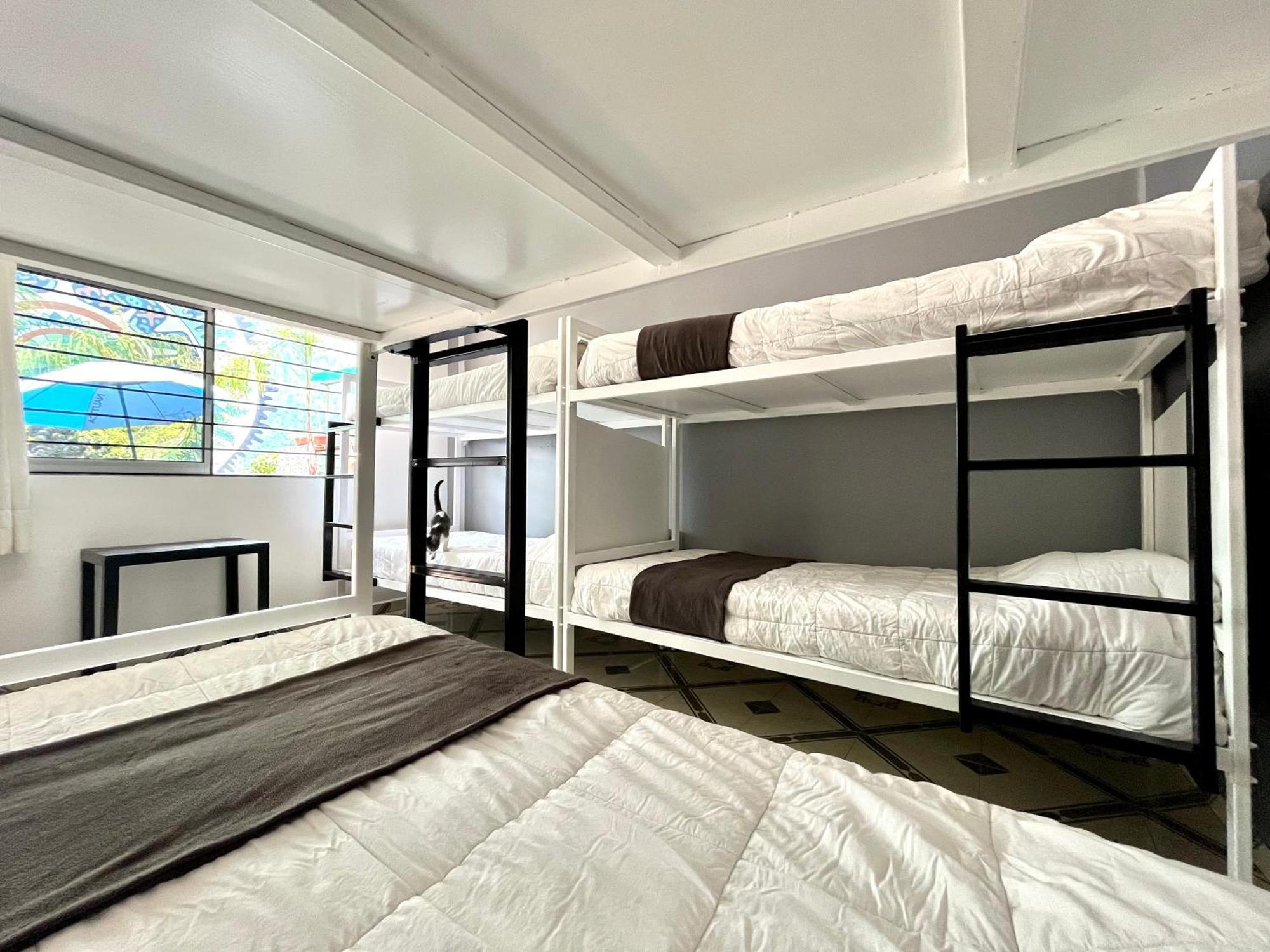 מקסיקו סיטי Alto Hostel מראה חיצוני תמונה