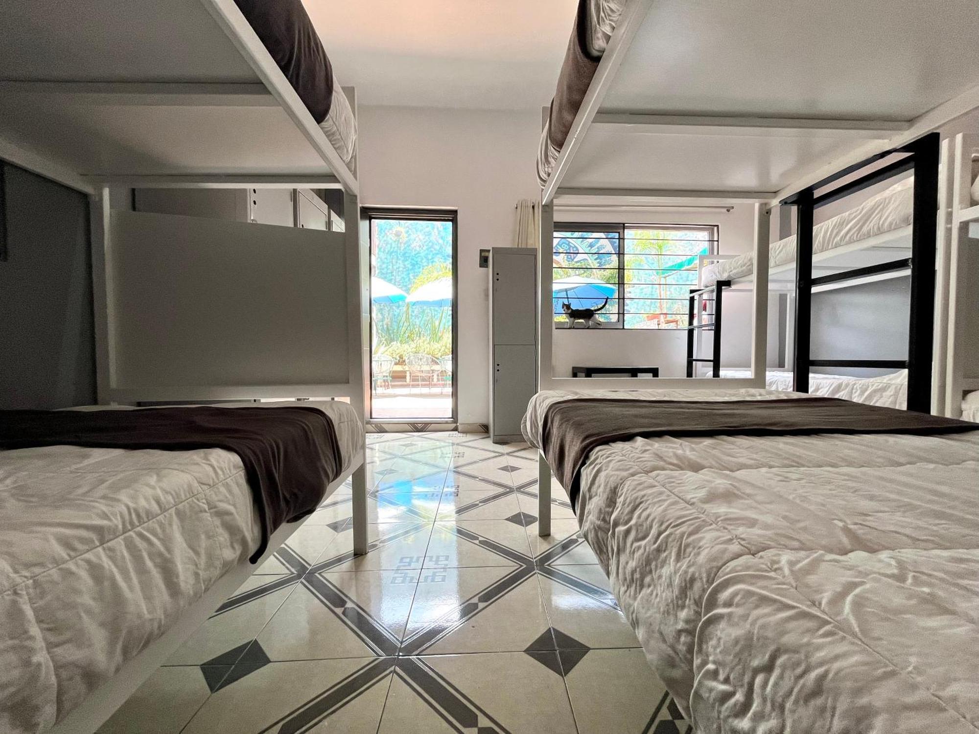 מקסיקו סיטי Alto Hostel מראה חיצוני תמונה